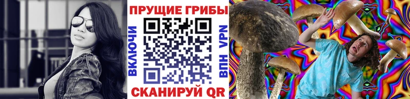 Псилоцибиновые грибы Psilocybe  Сызрань 